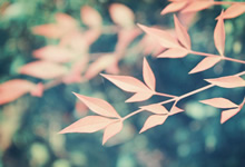 蓝鲸体育直播电脑版-国奥战绩巅峰，中国队晋级比赛圈实现目标