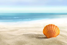 蓝鲸体育网页版-南美杯八强产生，哥伦比亚队闪耀阿根廷