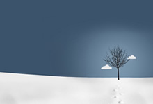 蓝鲸体育网页版-南美杯八强产生，哥伦比亚队闪耀阿根廷