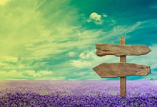 蓝鲸体育app安卓版-中超球队凯旋亚冠：荣耀归来，点燃城市之心