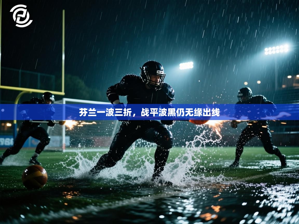 篮鲸体育入口-芬兰一波三折，战平波黑仍无缘出线