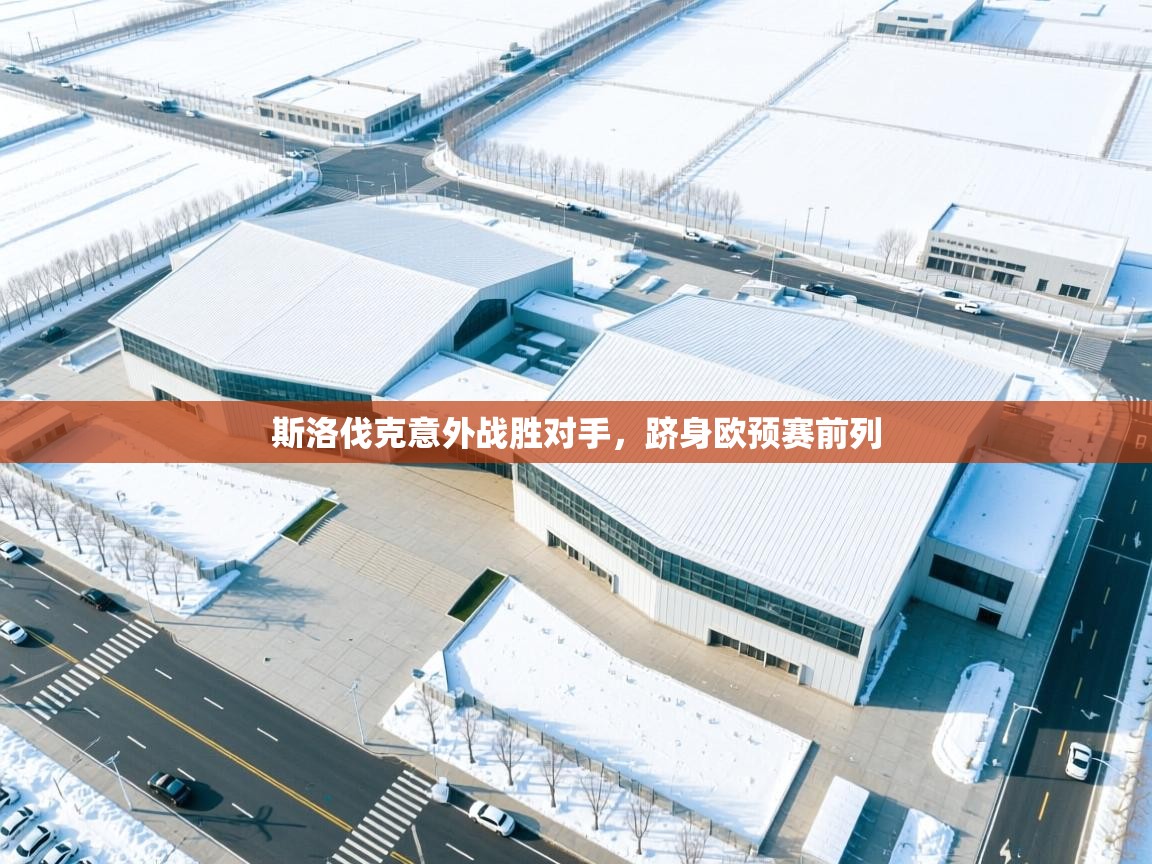 鲸蓝体育app下载-斯洛伐克意外战胜对手，跻身欧预赛前列