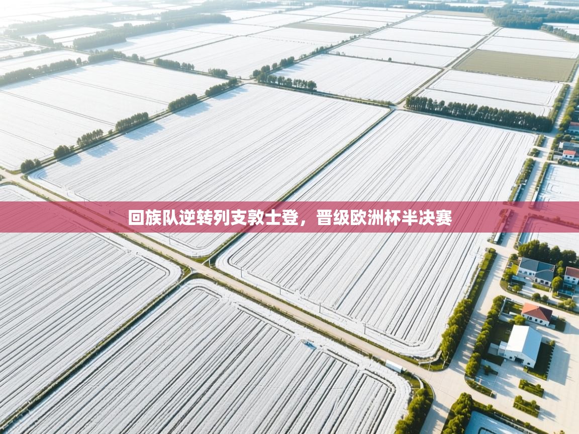 蓝鲸体育直播电脑版-回族队逆转列支敦士登，晋级欧洲杯半决赛