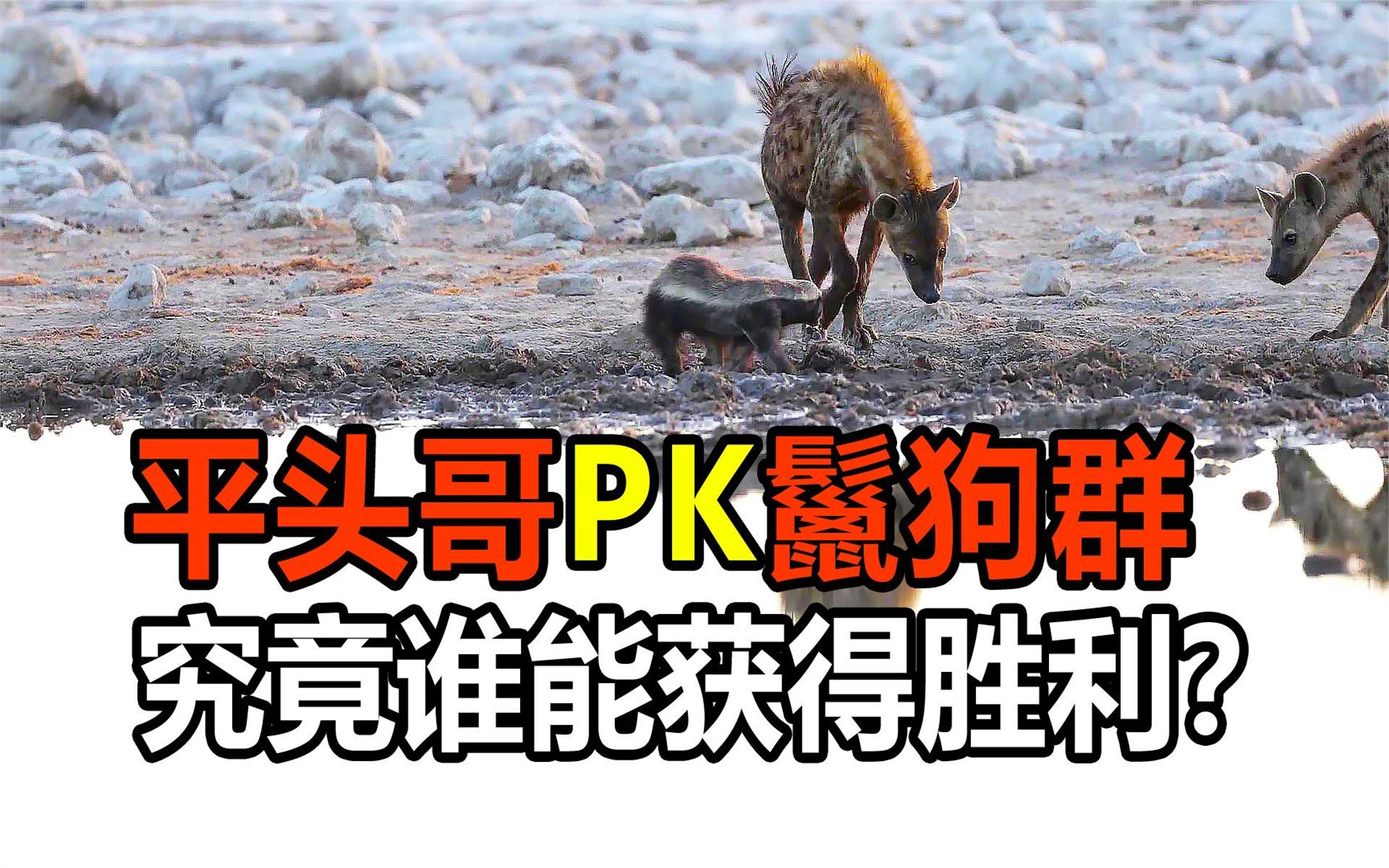 关于势均力敌，骁勇争先，谁能笑到最后的信息